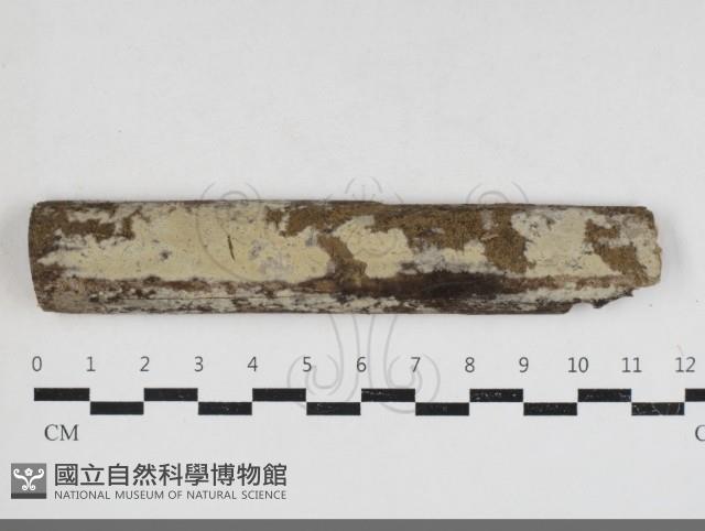 登錄號:F0033964藏品圖，第1張