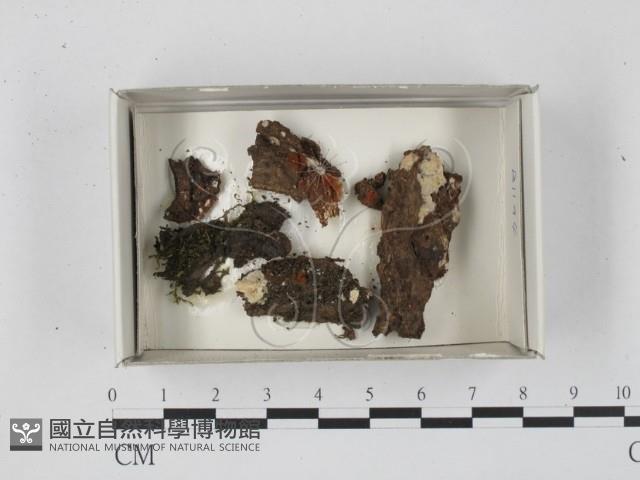 登錄號:F0018664藏品圖，第1張