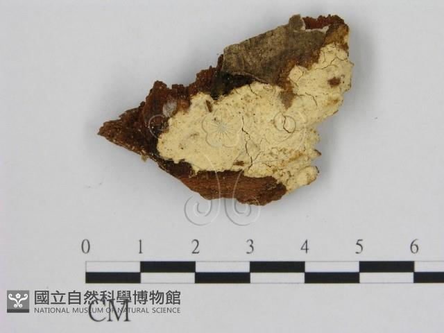 登錄號:F0016664藏品圖，第1張