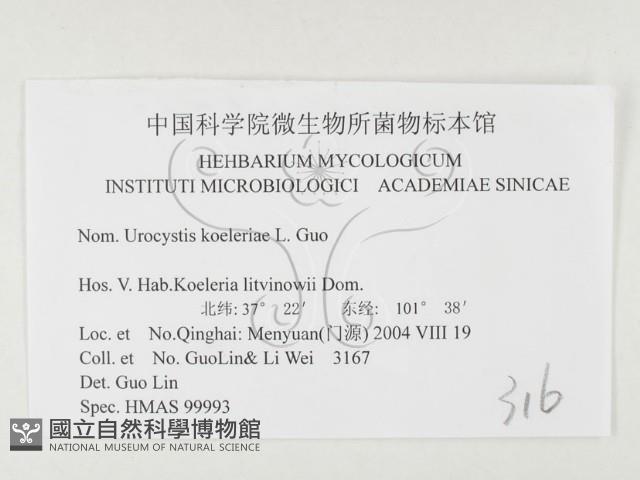 登錄號:F0026464藏品圖，第3張
