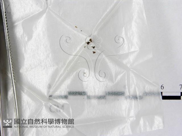 登錄號:F0004464藏品圖，第1張