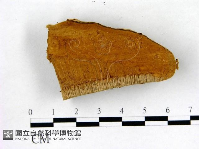 登錄號:F0006764藏品圖，第1張