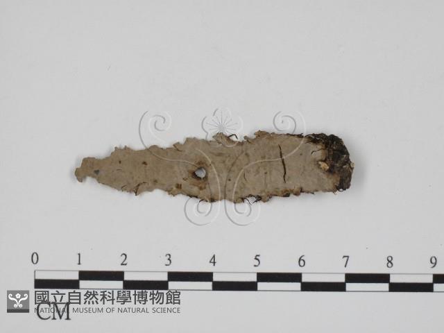登錄號:F0012764藏品圖，第1張
