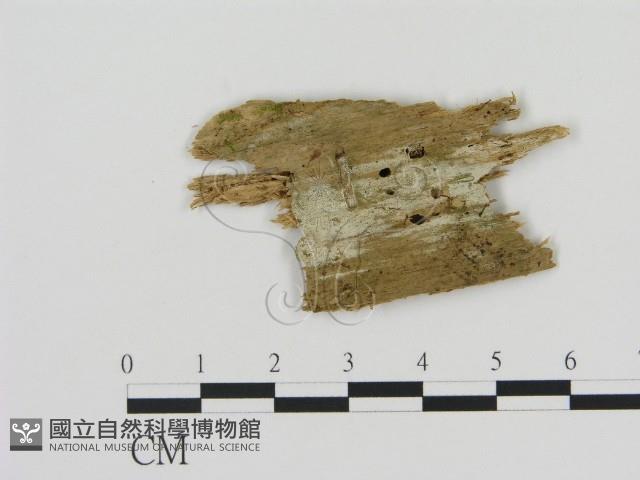 登錄號:F0015764藏品圖，第1張