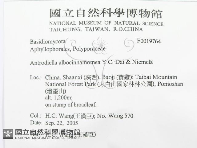 登錄號:F0019764藏品圖，第3張
