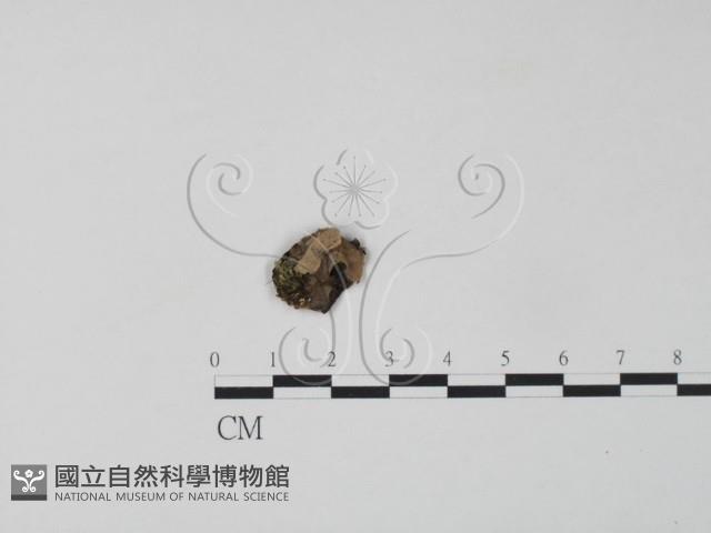登錄號:F0000564藏品圖，第1張