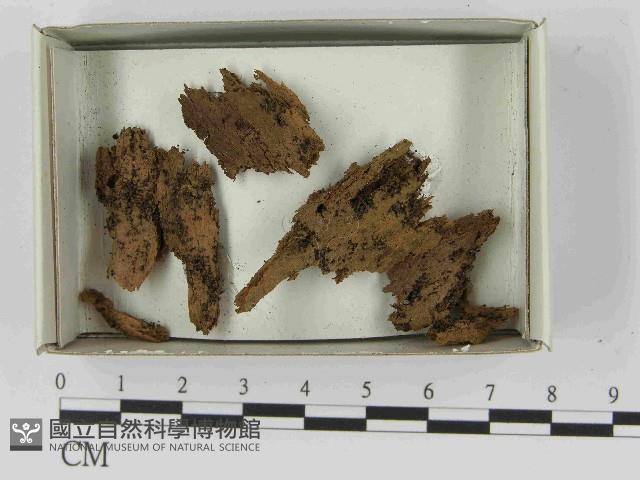登錄號:F0021564藏品圖，第1張