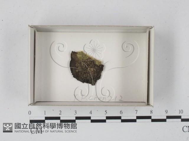 登錄號:F0018164藏品圖，第1張