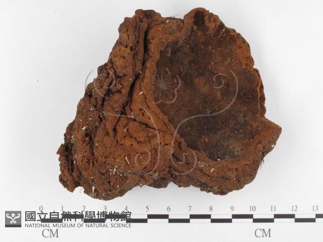 登錄號:F0026064藏品圖，第1張