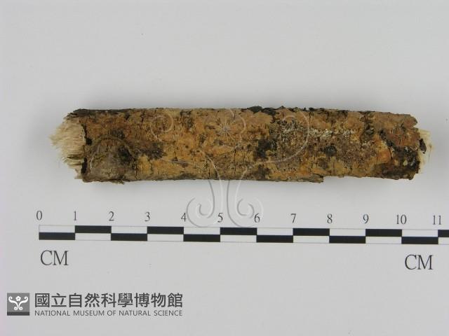 登錄號:F0005064藏品圖，第1張