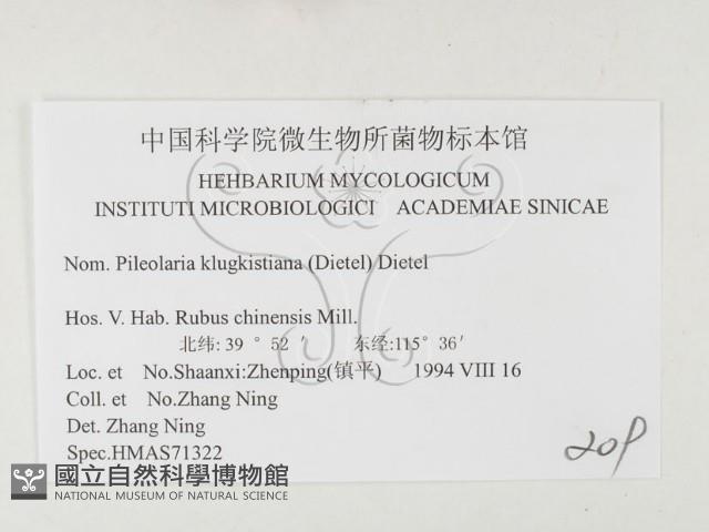 登錄號:F0026364藏品圖，第3張