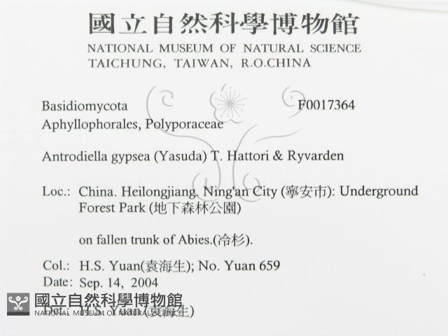 登錄號:F0017364藏品圖，第3張