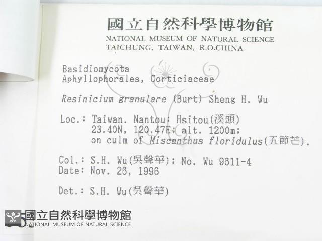 登錄號:F0005364藏品圖，第3張