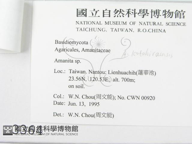 登錄號:F0003364藏品圖，第3張