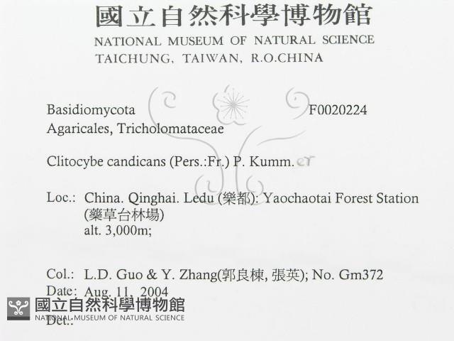 登錄號:F0020224藏品圖，第3張