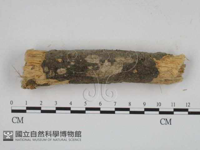 登錄號:F0001224藏品圖，第3張