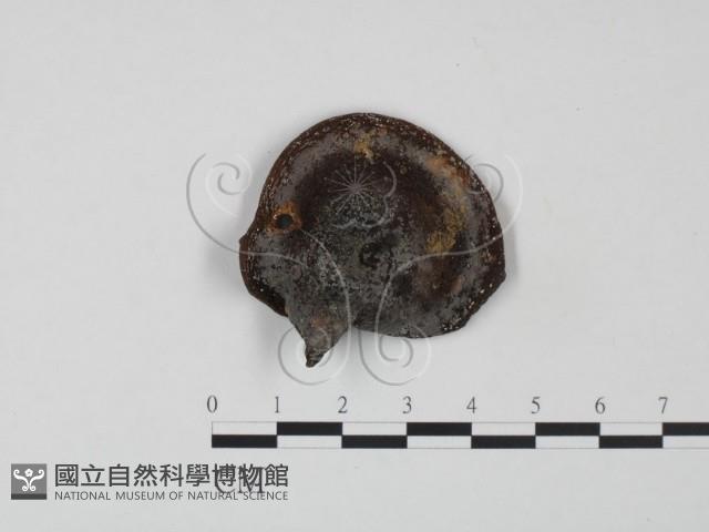 登錄號:F0011224藏品圖，第1張