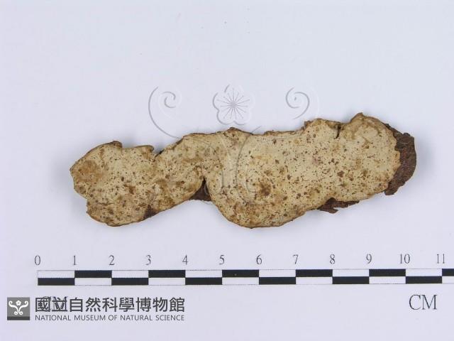 登錄號:F0003224藏品圖，第1張