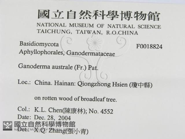 登錄號:F0018824藏品圖，第3張