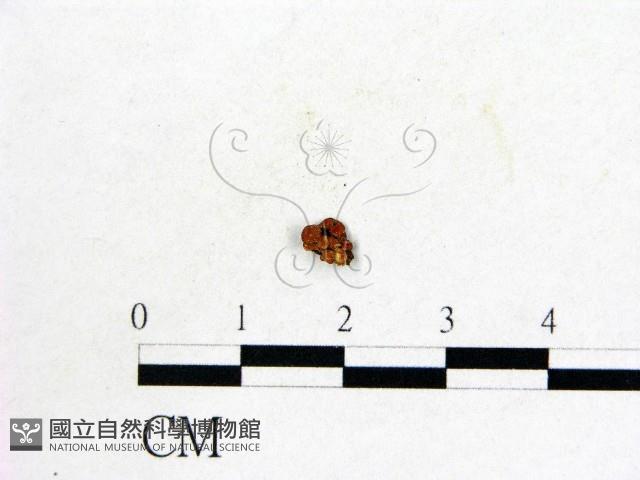 登錄號:F0009824藏品圖，第1張