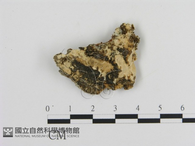 登錄號:F0016924藏品圖，第1張