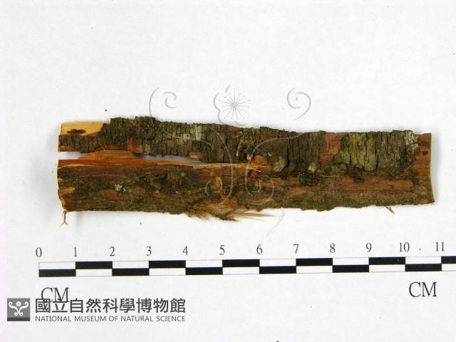 Accession Number:F0009924 Collection Image, Figure 1, Total 2 Figures