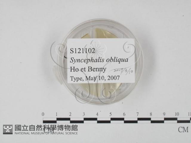 登錄號:F0020624藏品圖，第1張