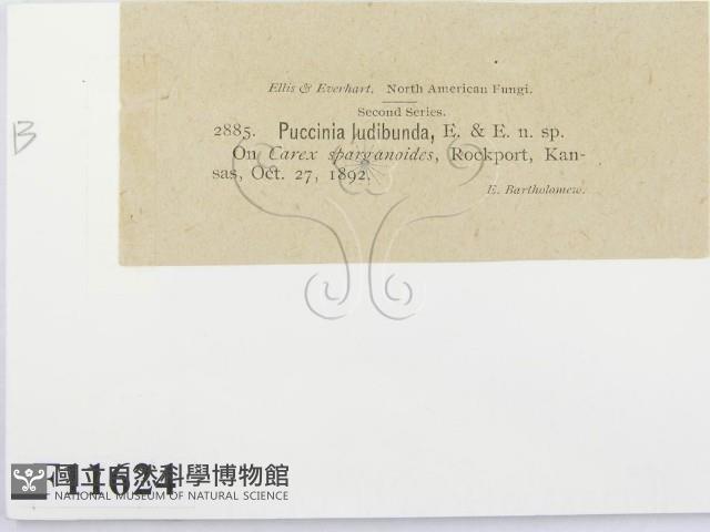 登錄號:F0011624藏品圖，第3張