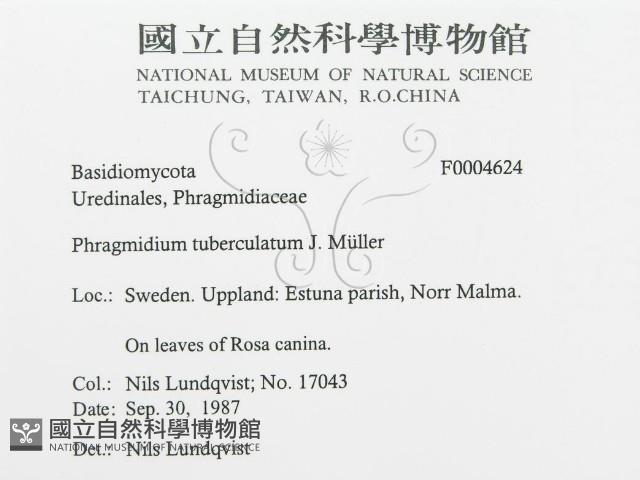 登錄號:F0004624藏品圖，第3張