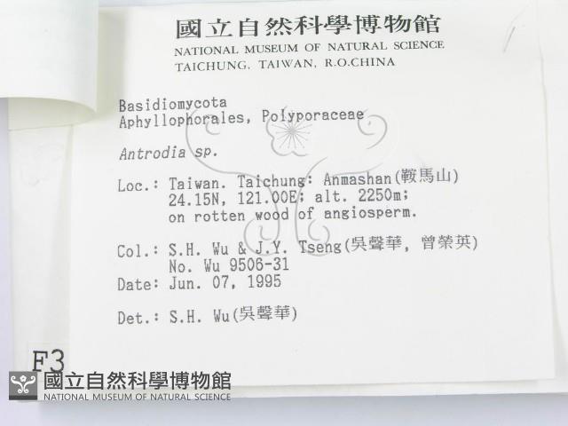 登錄號:F0003624藏品圖，第3張