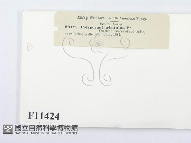 登錄號:F0011424藏品圖，第3張