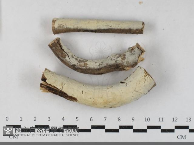 登錄號:F0033424藏品圖，第1張