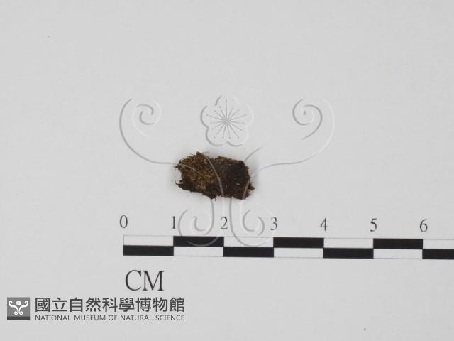 登錄號:F0000724藏品圖，第1張