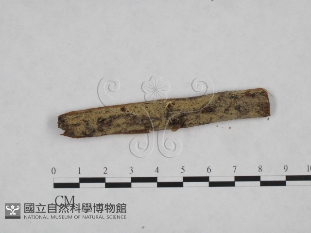 登錄號:F0024724藏品圖，第1張