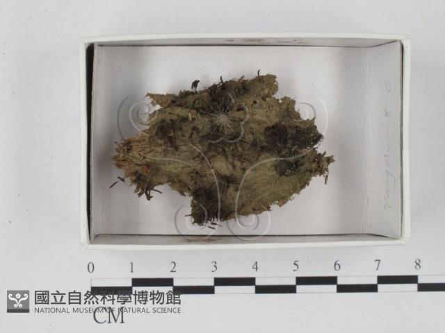 登錄號:F0018524藏品圖，第1張