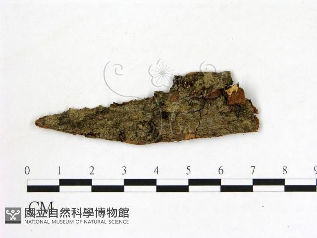 登錄號:F0011524藏品圖，第1張