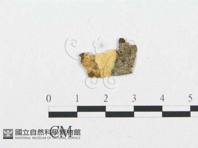 登錄號:F0009524藏品圖，第1張