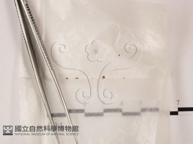 登錄號:F0001124藏品圖，第1張