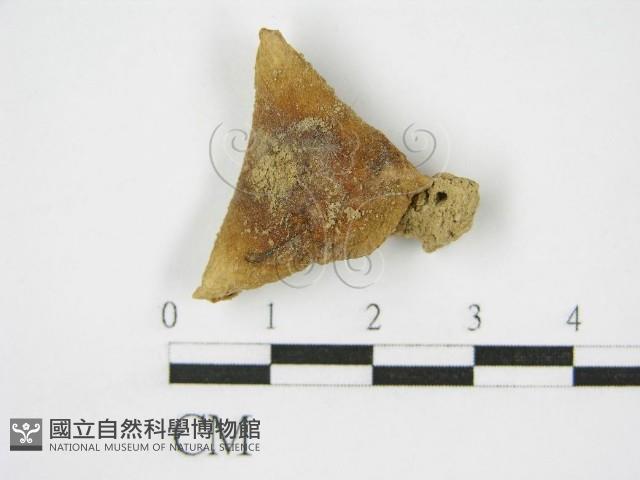登錄號:F0011124藏品圖，第1張