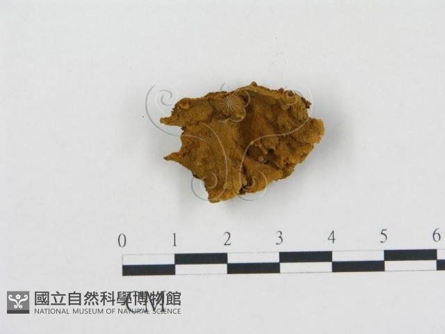 登錄號:F0014124藏品圖，第1張
