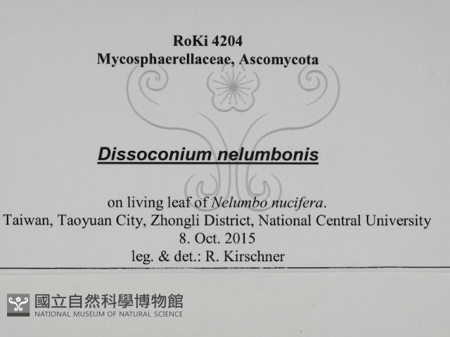 登錄號:F0031024藏品圖，第3張