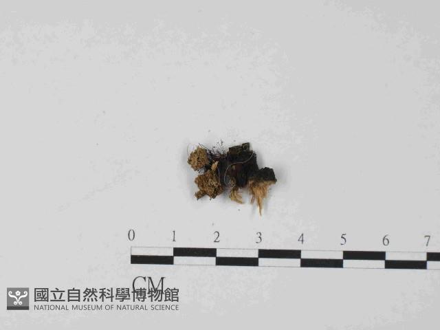 登錄號:F0024024藏品圖，第1張