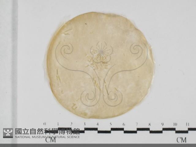 登錄號:F0032024藏品圖，第1張