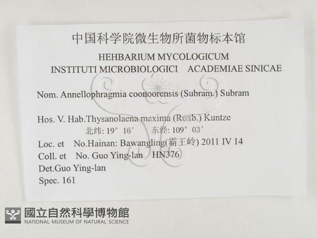 登錄號:F0026324藏品圖，第3張