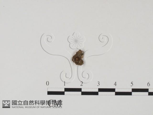 登錄號:F0011324藏品圖，第1張