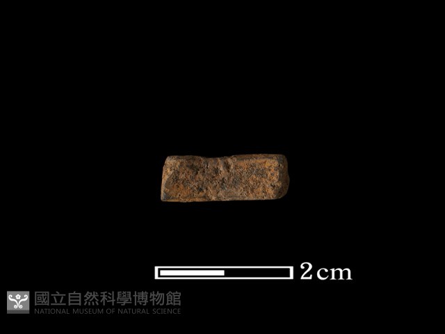 陶環藏品圖，第1張