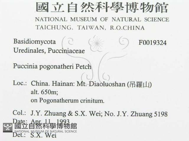 登錄號:F0019324藏品圖，第3張