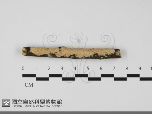 登錄號:F0032204藏品圖，第1張