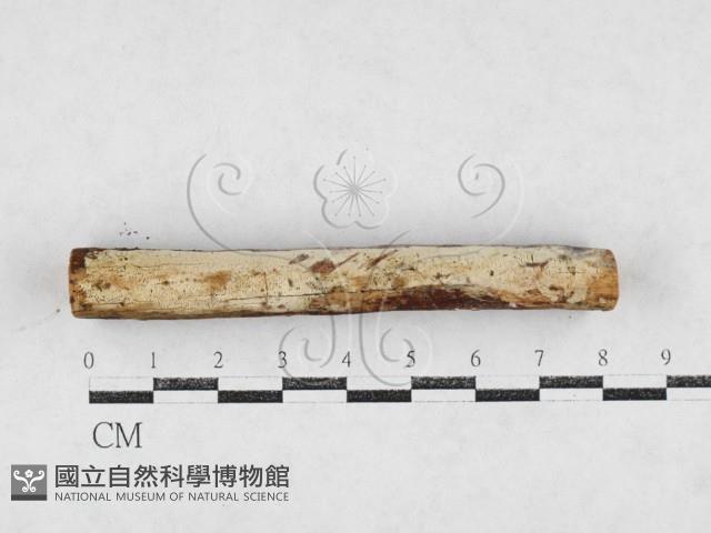 登錄號:F0027204藏品圖，第1張