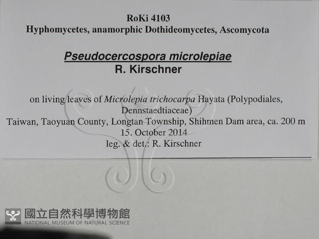 登錄號:F0028804藏品圖，第3張